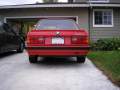 From the back